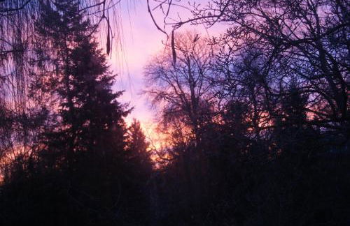 "Am Griebnitzsee" 14482 Potsdam-Babelsberg - Foto 22