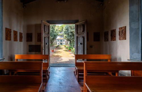 Fattoria Laviosa - Foto 22