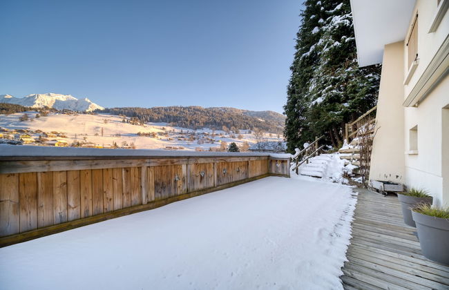 Chalet Nessa - Combloux - Foto 53