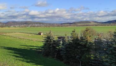 Ferienwohnung Grote - Foto 2