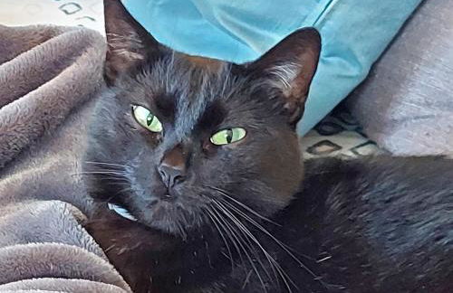 dimorafelice.sarteano - Photo 33