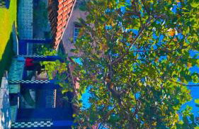 Casa De Praia para Alugar - Foto 34