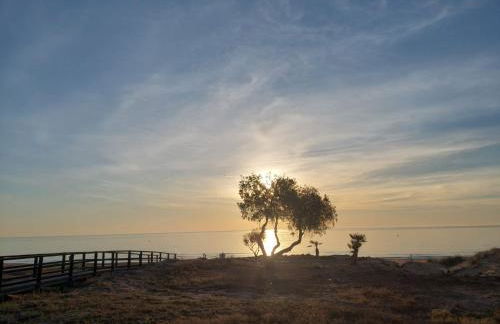 Apartamento entre playa y dunas - Foto 41