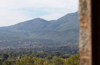Azienda Agricola Il Querceto - Photo 11