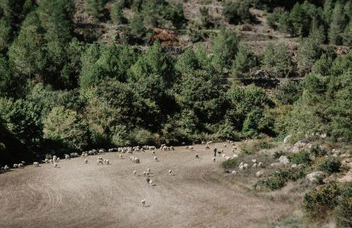 Vila Caelus Masia Boutique - Foto 67