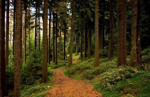 HOME Suites Loft mit Sauna - Foto 38