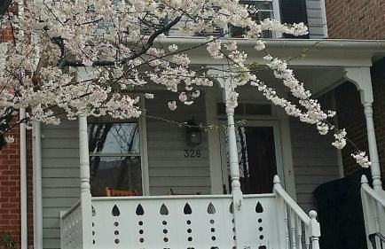 Charming, 1870's townhouse, in Old Town Alexandria - Foto 28