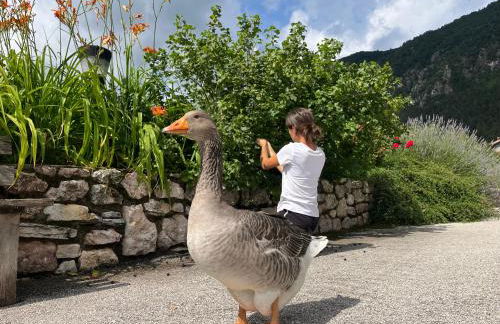 Agriturismo Girasole - Foto 22