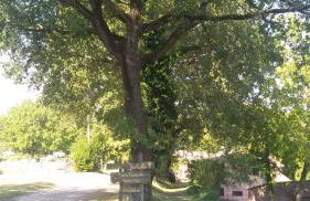 Casa Trastullo - Foto 18