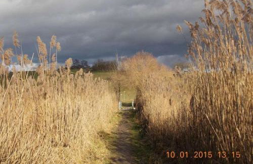 Holiday apartment in Salem with swimming pool - Foto 27