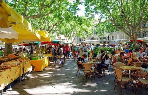 gite les oliviers 10 pers piscine au calme 4 Etoiles - Foto 43