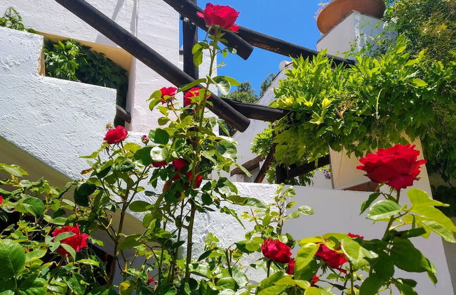 Algaba de Ronda - Foto 77