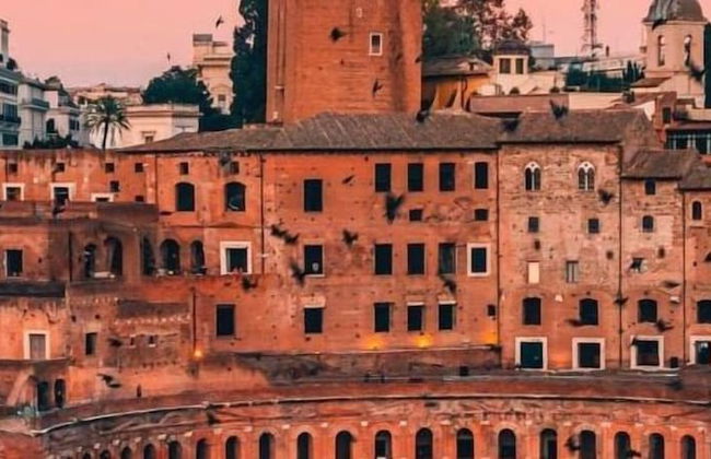 Hold Rome - Photo 40