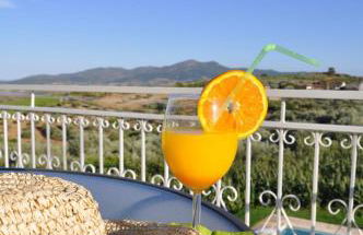 Quinta Rota d' Oliveira - Foto 28