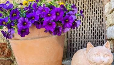 Il Muro d'Oro - Foto 2