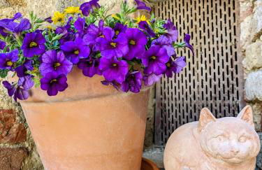 Il Muro d'Oro - Foto 2