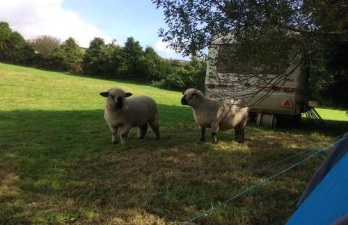 Silverspring Hideaways - Foto 12