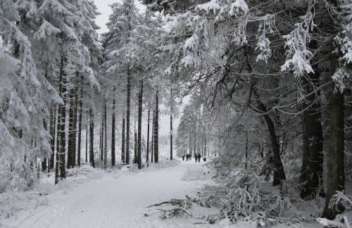 Ferienwohnung Haus Kloosterman - Photo 23
