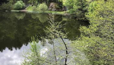 Chez natalli - Foto 4