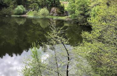 Chez natalli - Foto 4