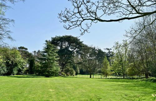 Bluebell Studio - Foto 16