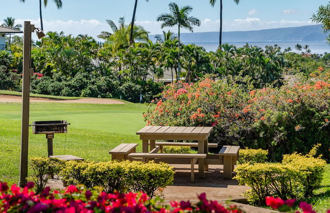 Upscale and Elegant Vistas - Foto 30