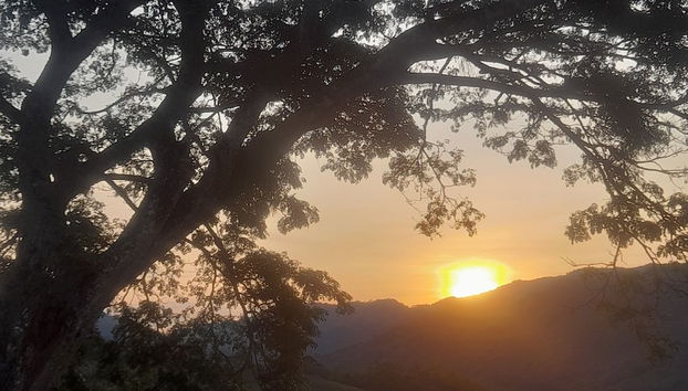 Restauration dans la chambre