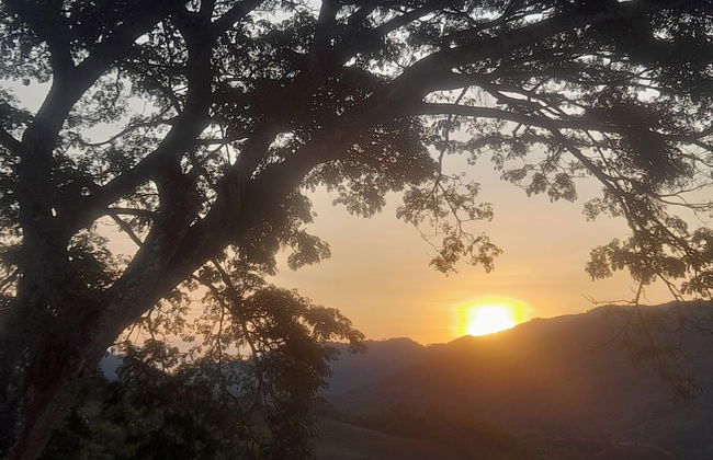 encanto Toscano - Photo 3