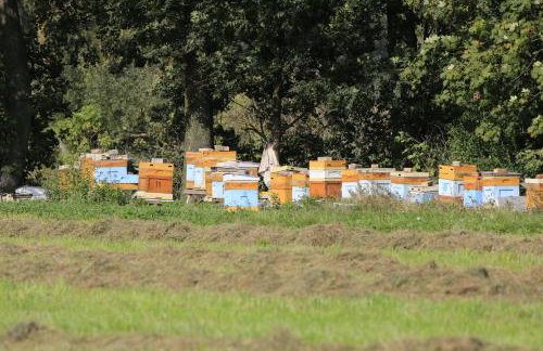 Agroturystyka Żuławiaczek - Foto 27