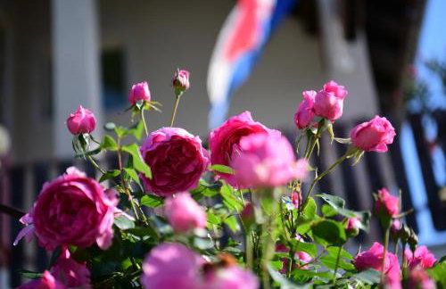 Apartment Marija Zupan - Foto 56