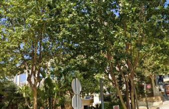 Apartamento a 2 min de playa - Photo 33