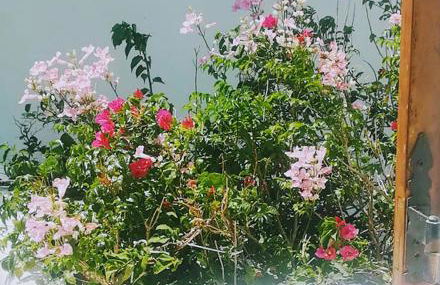 Maltabe Studios - Foto 6