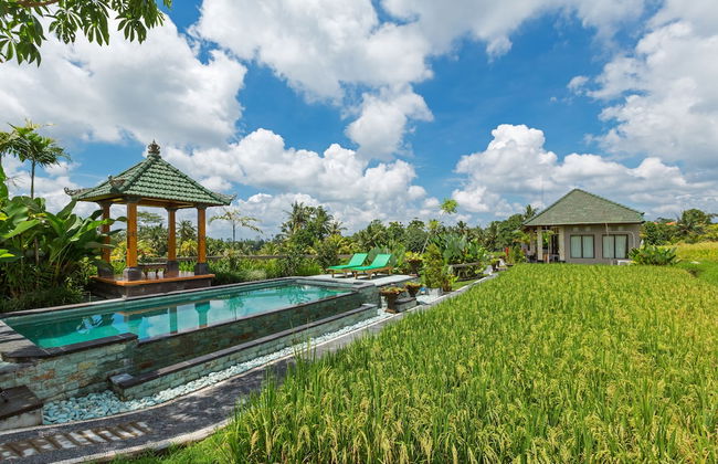 Cahaya Ubud Villa - Foto 67