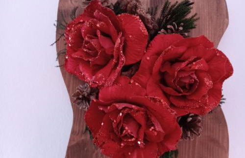 I 4 elementi - Foto 17