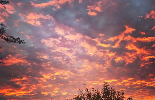 Schönes Ferienhaus mit Garten & Mid Century Möbeln in Strand nähe Avendorf - Foto 23