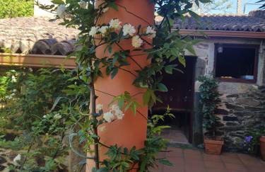 Alojamiento Virita - Foto 16