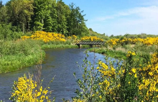 Holiday Home in Ansager - Photo 35