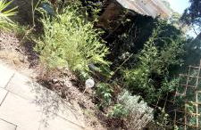 Chez Alexandra - Foto 24