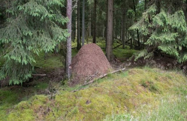 Luxury Retreat With Spa - By Traum Ferienwohnungen - Photo 35