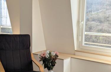 Appart vue mer-au pied du chemin de randonnée " Bassan" - Foto 8