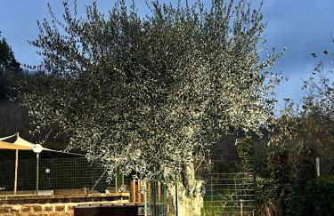 Country house Dolce Nocciola - Foto 41