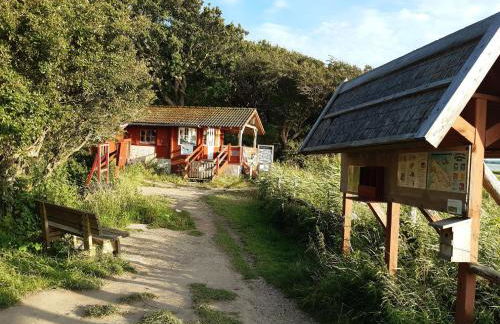 Pühler - Ferienwohnung Schwalbe - Foto 23