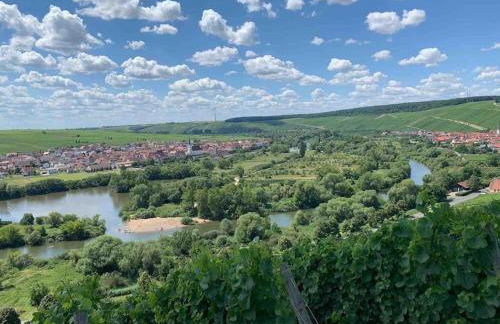 Ferienwohnung Weinbergsblick optimale Stadtnähe - Foto 34