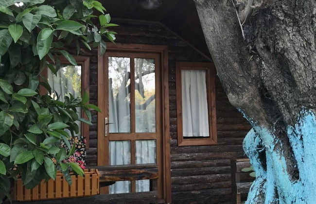 Zeytindagi Bungalow - Foto 3