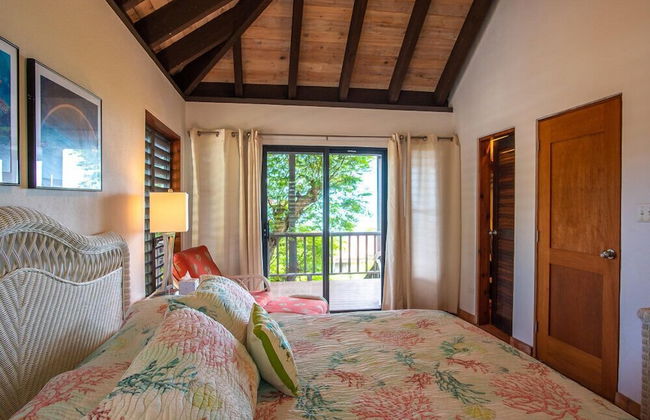 Virgin Gorda Villa Rentals - Foto 4