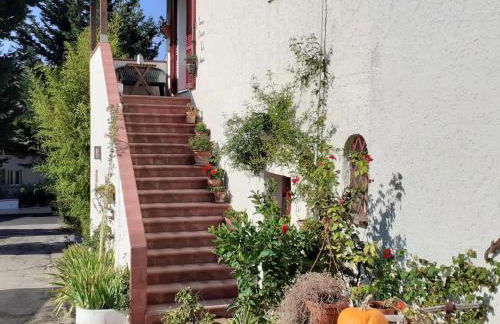 Pier Delle Vigne B&B - Foto 62