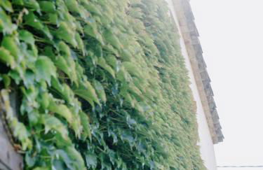 Can Serrà 1786 - Photo 70