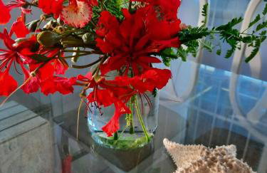 casa no paraíso do Capri - Foto 19