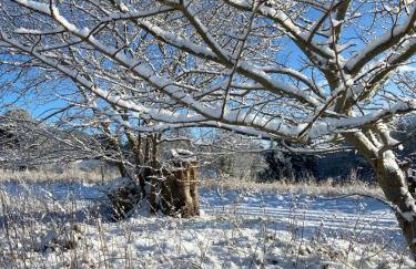 Dalvey Ploughmans Cottage - Foto 29