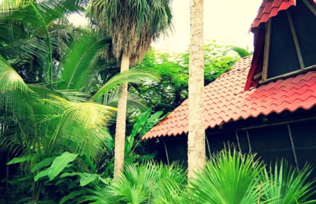 Villas María Luisa Lodge - Photo 49